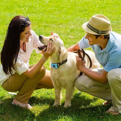 Collier Anti- Aboiement DogSafe Pro