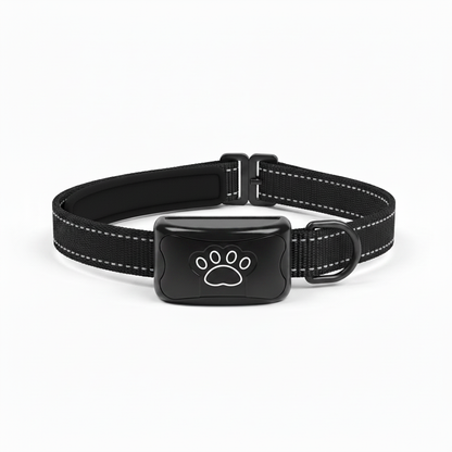 Collier Noir