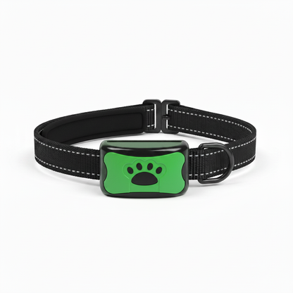 Collier Vert