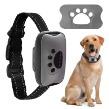 Collier Anti- Aboiement DogSafe Pro