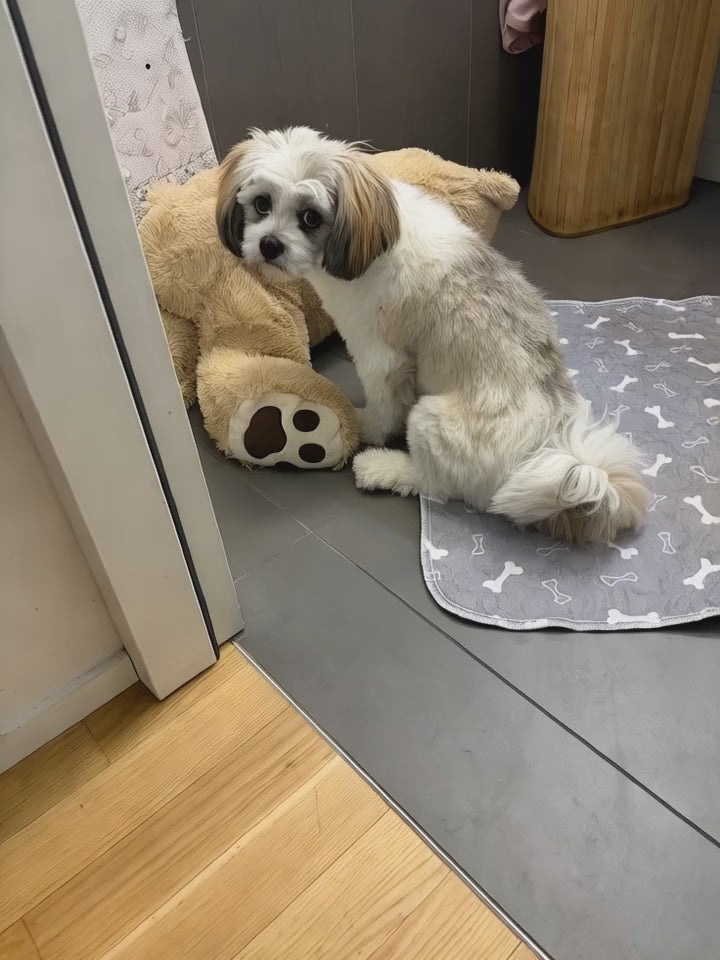 Tapis absorbant réutilisable pour chien